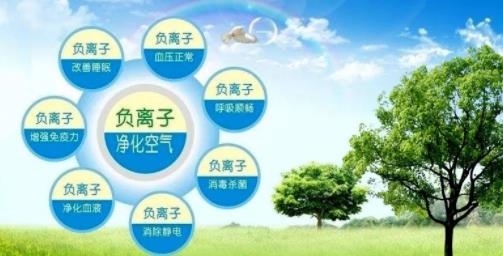 1556157988147013.jpg 1.jpg