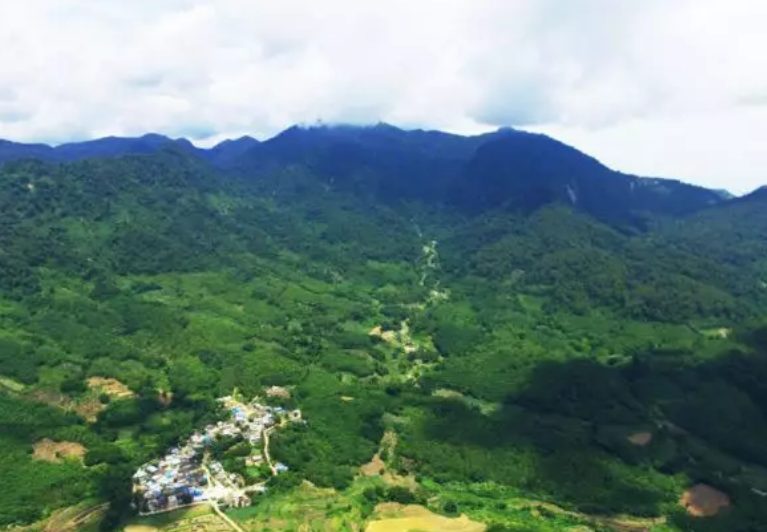 1557985887242882.png 2.png